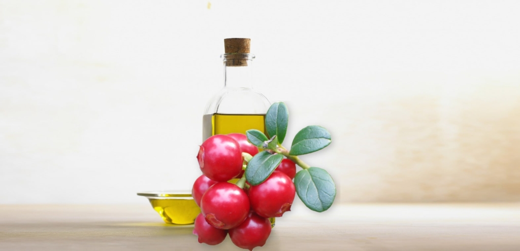 bulk lingonberry seed oil