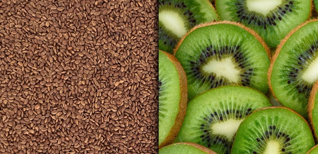 Dried Kiwi Seeds