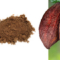 GreenField cocoa fibre powder