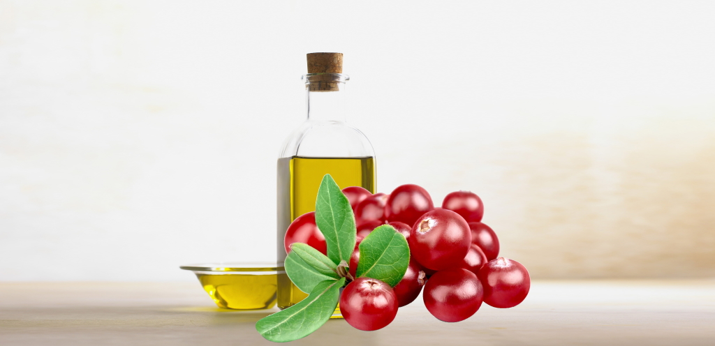 Cranberry seed oil cold press