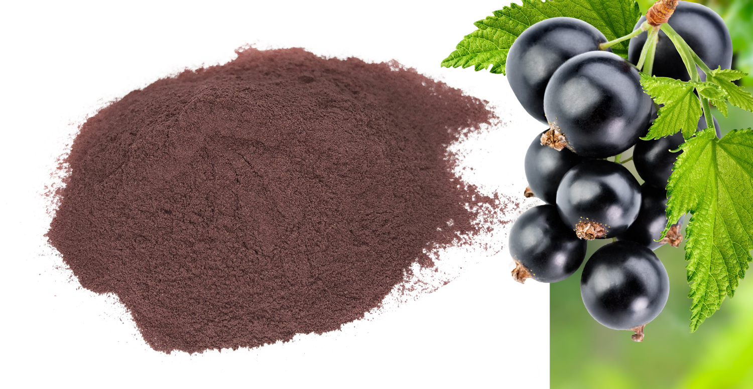 Blackcurrant fibre powder - GreenFIeld