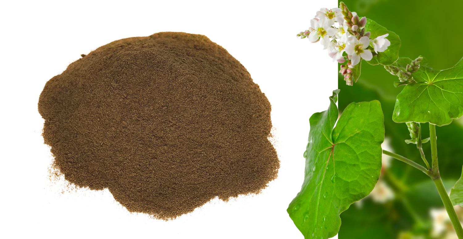 Buckwheat fibre powder - GreenField