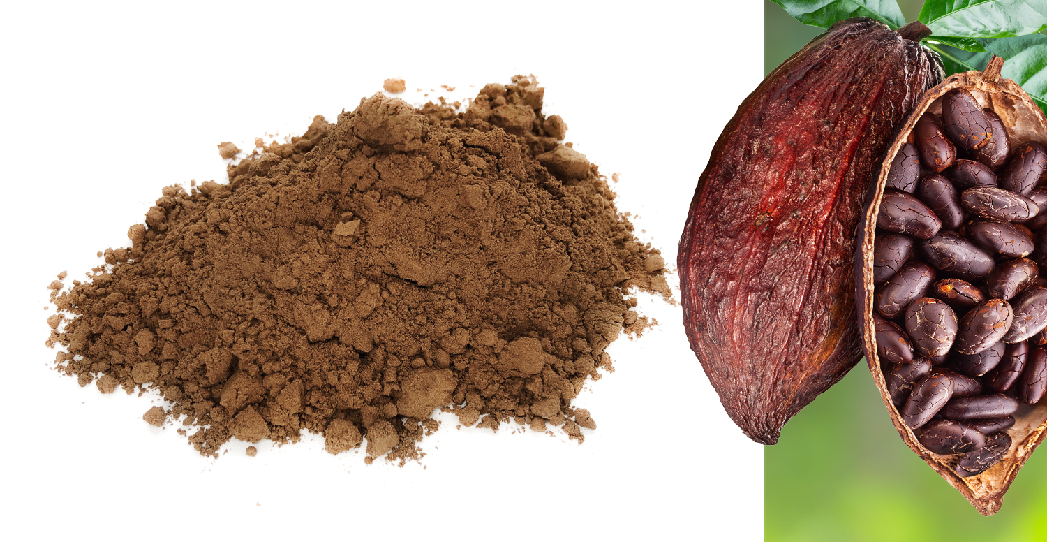 Cocoa fibre powder - GreenField